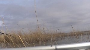 Весенний карасик