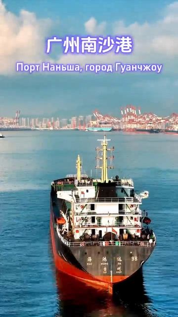 Порт Циндао против порта Шэньчжэнь