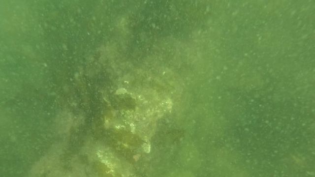 Охотское море | первый краб | 2026