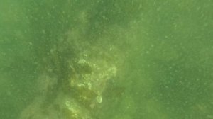 Охотское море | первый краб | 2026