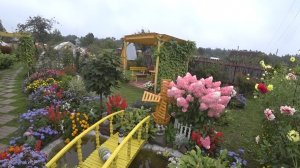 6 соток 26 августа 2021 год. Хроника