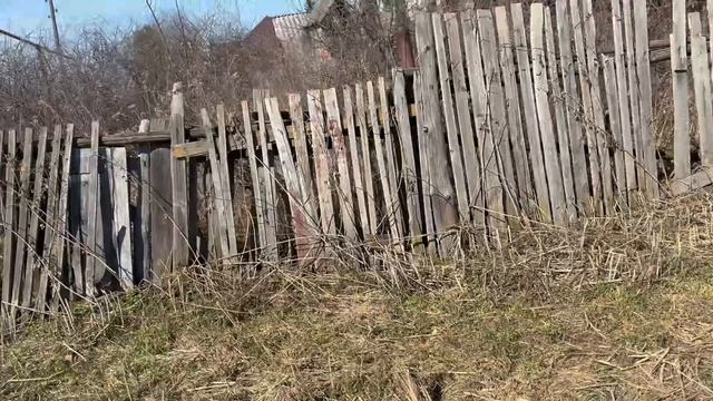 Copy_5853E6C1-2AA3-4E97-8FB5-B341F2C91365