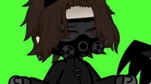 два новых перса! и если что, они родные братья