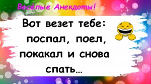 Анекдоты смешные до слез! Подборка Пикантных Остреньких Жизненных Анекдотов! Юмор! Смех! Позитив!
