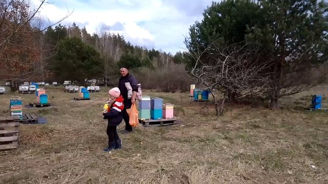 облётник Могорь