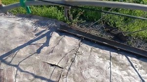 продолжение темы про жирующие побеги на винограде.