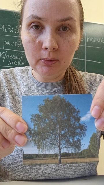 моя пятница, 17 апреля 2026 год #школа #учитель #дефектолог #амвей #массаж