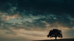 Одуванчики  / ИИ клип / стихи Ольги Куликовой /