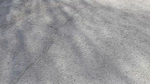 На работе 17 Апреля 2026 год