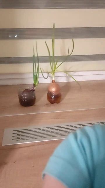 Когда брат паркурист 3 часть залез на кухонный стол и чуть ли не залез на столешницу