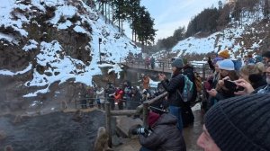 Снежные обезьяны Джигокудани: Зима в Японии