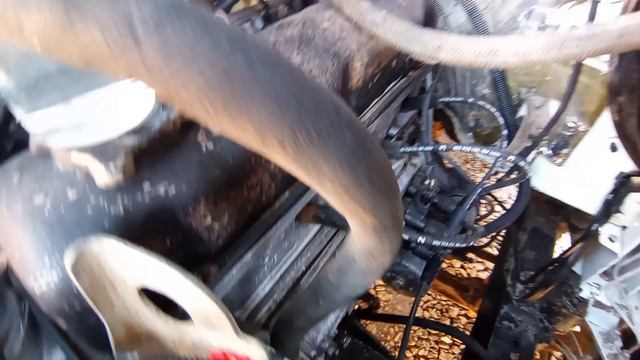 VID_20260416_152930594.mp4