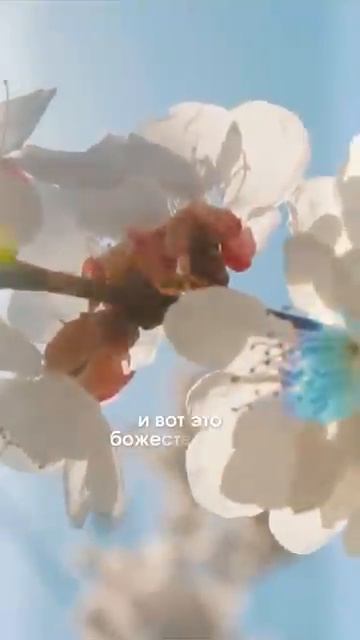 Родительство - это путь к Свету маринатаргакова дети воспитание мама папа ребенок психология