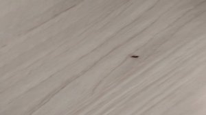 Жизнь муравьёв. Что будет если 1 муравей выберица из Формикария