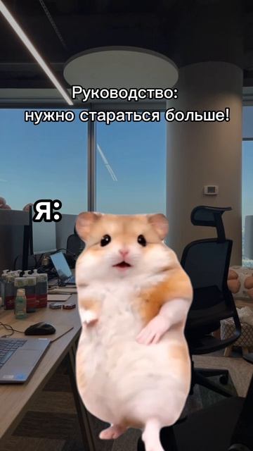 офис офисныебудни fyp тдфарма