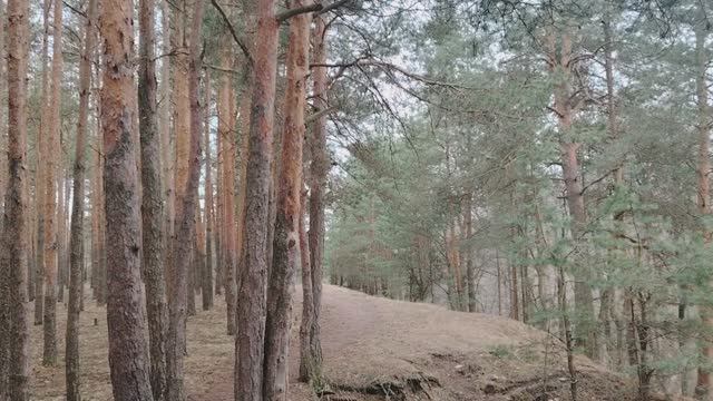 Перевод денег в обмен на наличные. Родственники руководства и любимчики на работе. И другое