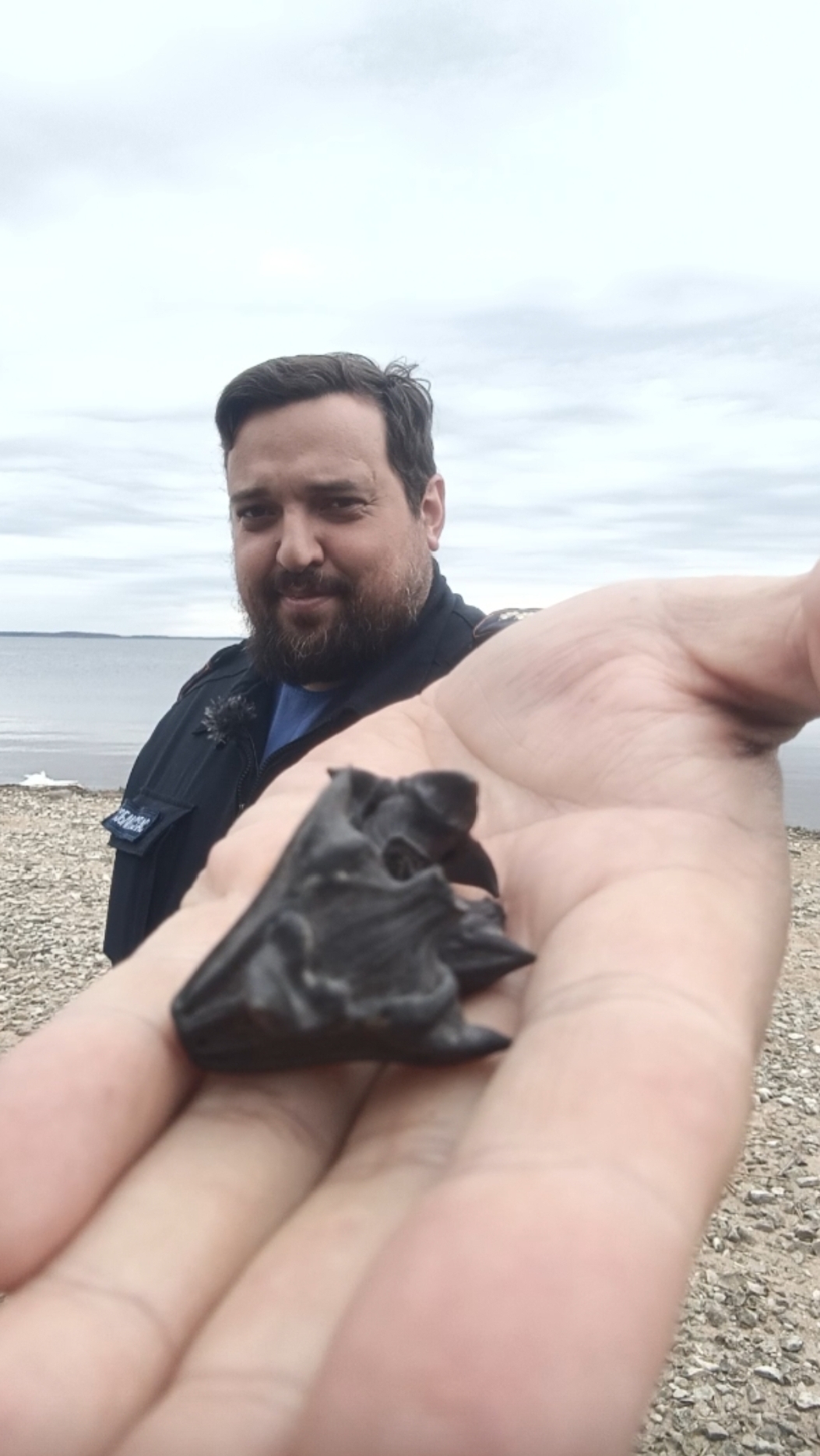 Так ли страшен чёртов орех, как его малюют? #мужскаякаморка #спасатель #водныйорех