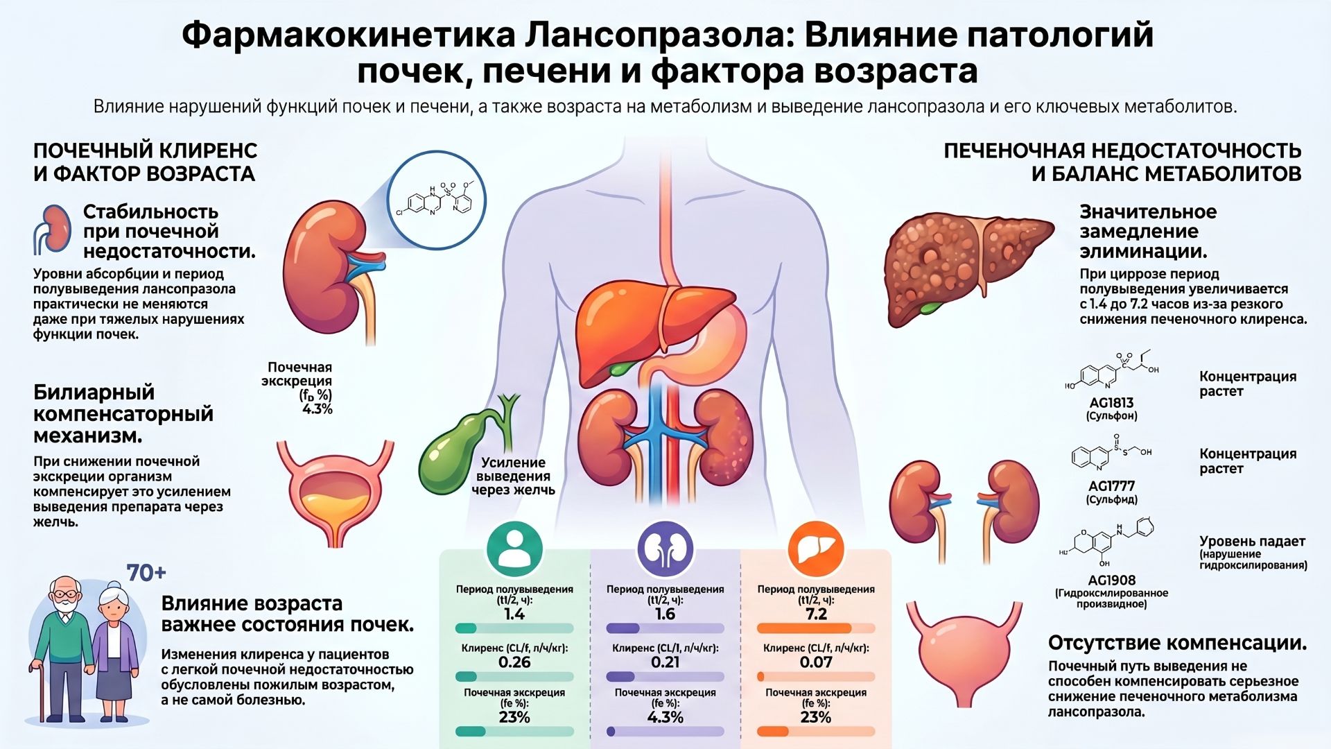 Лансопразол. Как печень заменяет почки: механизмы метаболизма и компенсаторной элиминации