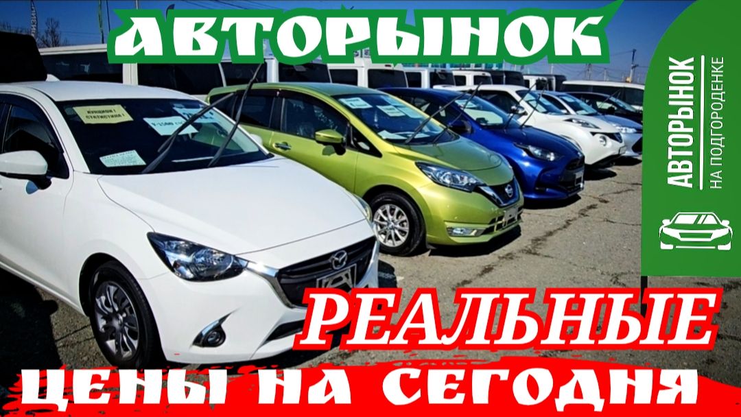 авторынок РЕАЛЬНЫЕ ЦЕНЫ НА СЕГОДНЯ