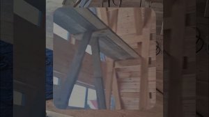 1000056285.mp4 (Собака наблюдает за устройством лестницы на 2-ой этаж в доме А-фрейм)