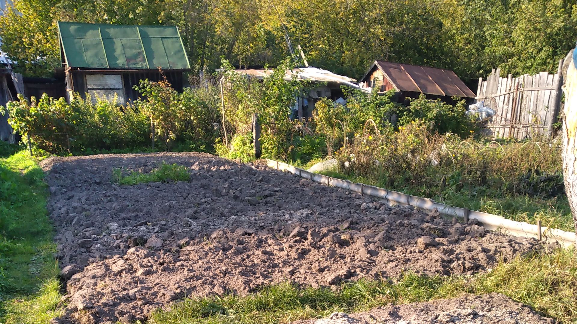 Самая нужная подкормка после зимы для лука севка и чеснока🧄🧄🧄🧄🧄