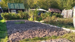 Самая нужная подкормка после зимы для лука севка и чеснока🧄🧄🧄🧄🧄