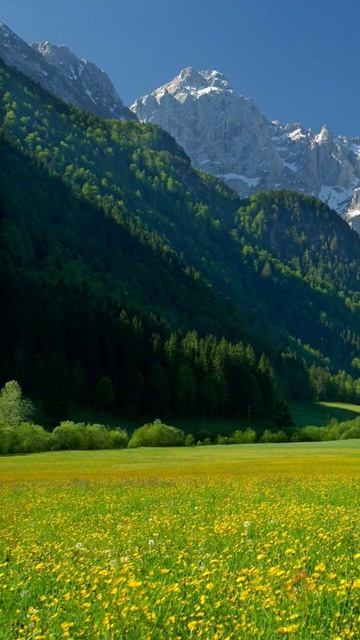 Shades Of Green Sky Mountain