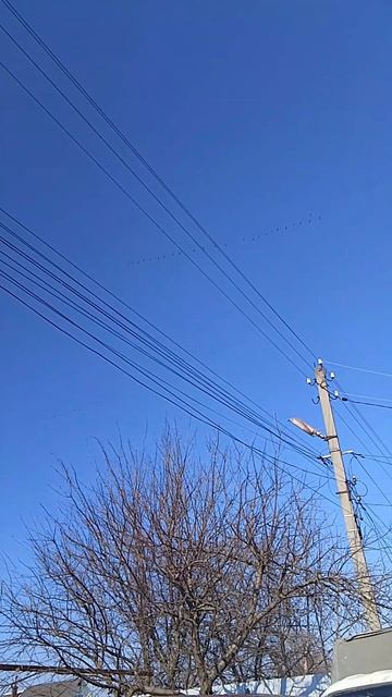 красота идет весна