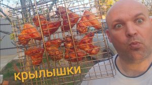 МУКБАНГ КРЫЛЫШКИ на углях/ОБЖОР на даче