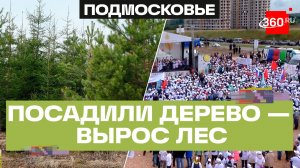 Спустя года: жители Подмосковья показали, как выглядит лес, высаженный добровольцами