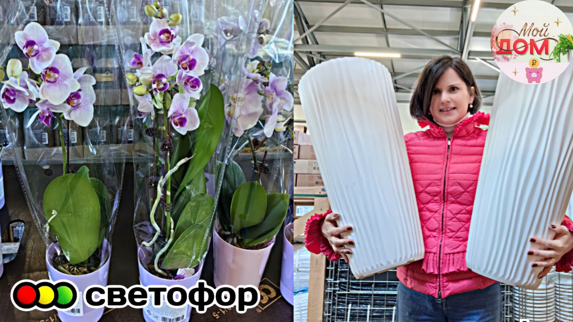 💖В Светофор привезли Фаленопсис, кашпо апрель 2026