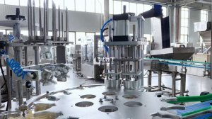 Линия розлива картофеля фри в пластиковые бутылки (взвешенный розлив - станция приема продукции)