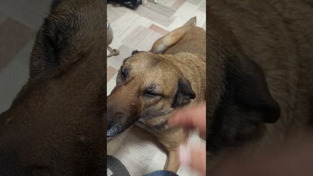 Посылка от Сергея с Воронежа