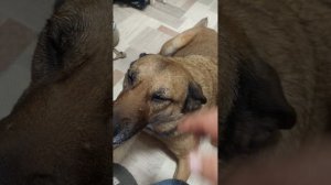 Посылка от Сергея с Воронежа