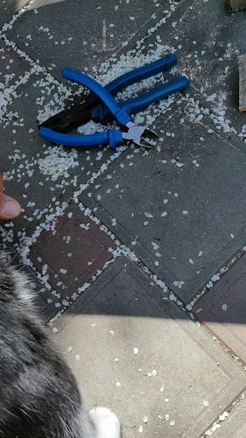 Шурик мой помощник!