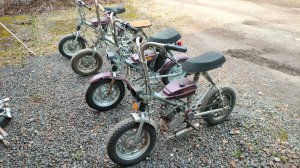 Мои мопеды ЗиД Птаха.