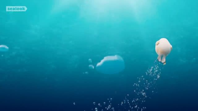 Морские Котики (SEALOOK) (170)