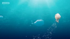 Морские Котики (SEALOOK) (170)