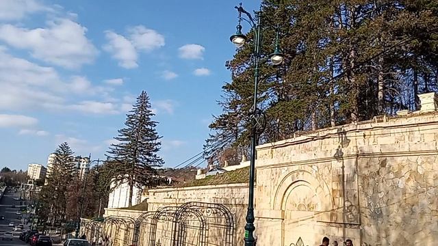 Эко-преступление в Кисловодске! Уничтожены вековые ели на пр. Дзержинского! 17.04.2026 г.