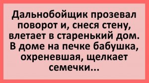 Анекдоты | Дальнобойщик прозевал поворот и влетел в старенький дом... | Юмор