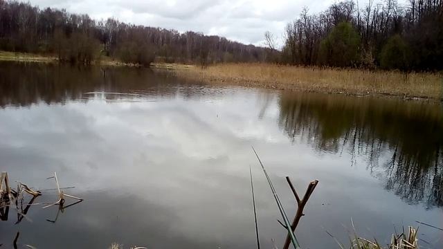 17 апреля плотва клюёт щука жирует