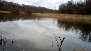 17 апреля плотва клюёт щука жирует