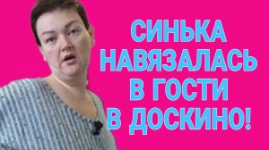 СИНИЙ ГАВРОШ ПРЁТСЯ В ДОСКИНО! ПИРАТСКАЯ ЖИЗНЬ. ОБЗОР.