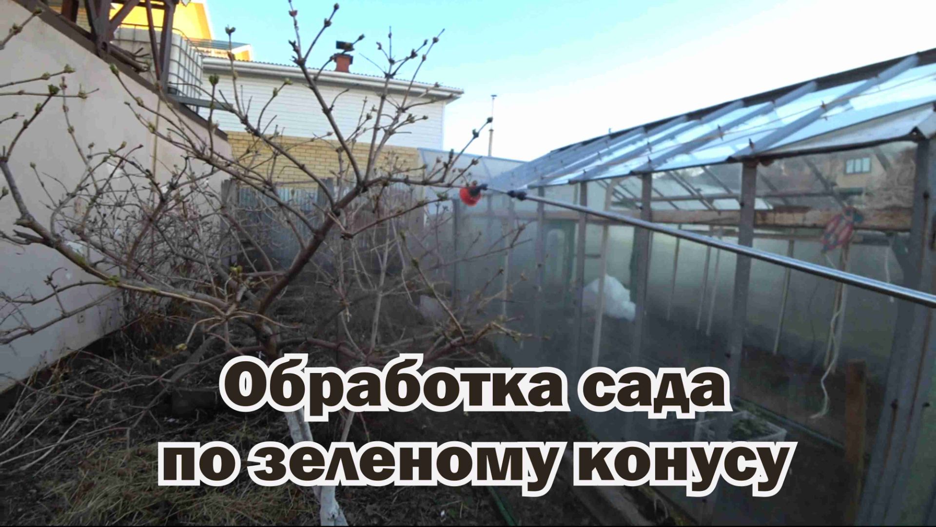 Обработка сада по зеленому конусу