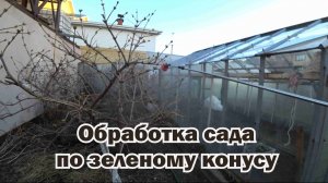 Обработка сада по зеленому конусу