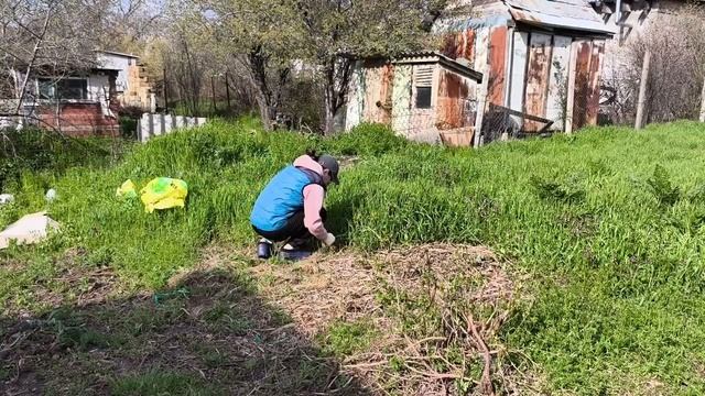 Целый день стираюПорвала не много травыНаконец-то можно дома помыться 