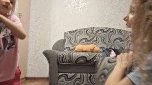 Пежамная вечеринка с ЛП