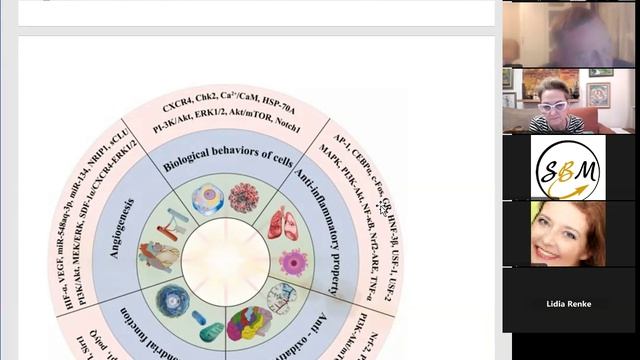 Перспективы ДИИ  в регенеративной медицине. Вебинар от 16.04.2026 г.