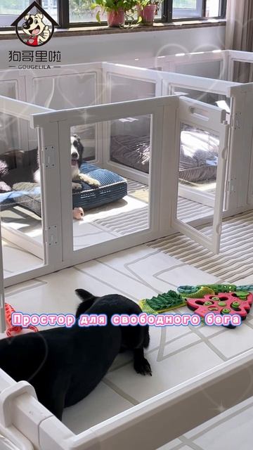 Идеальное решение для многопитомцевых семей! 🏠🐕