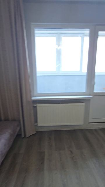 новгородский 2